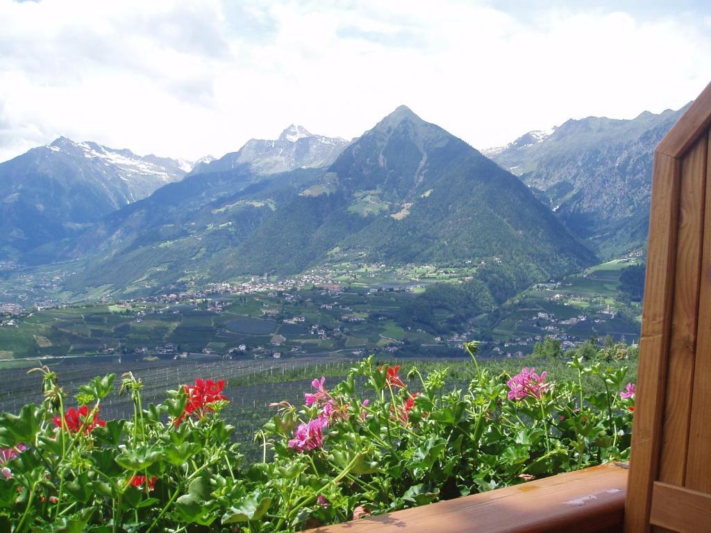 B & B Gurterhof 3* Schenna