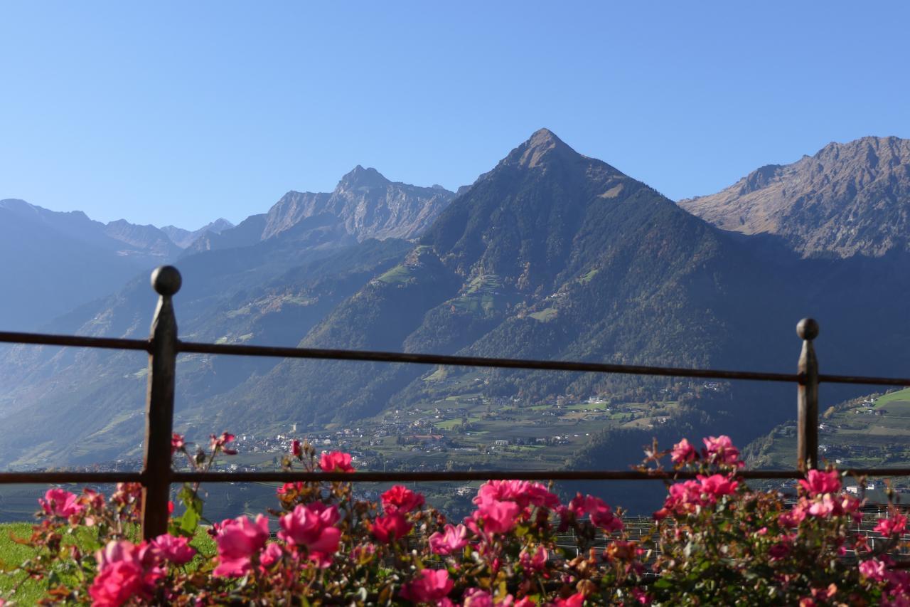 B & B Gurterhof